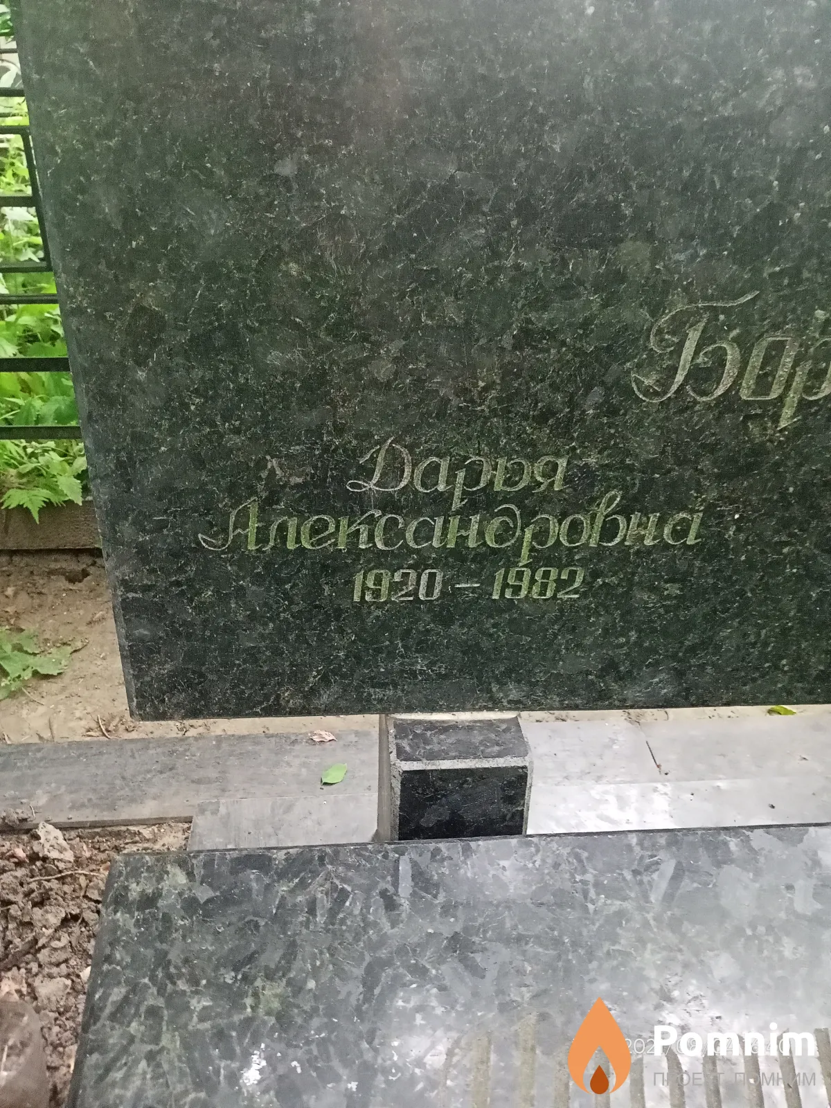 Боровик Дарья Александровна
