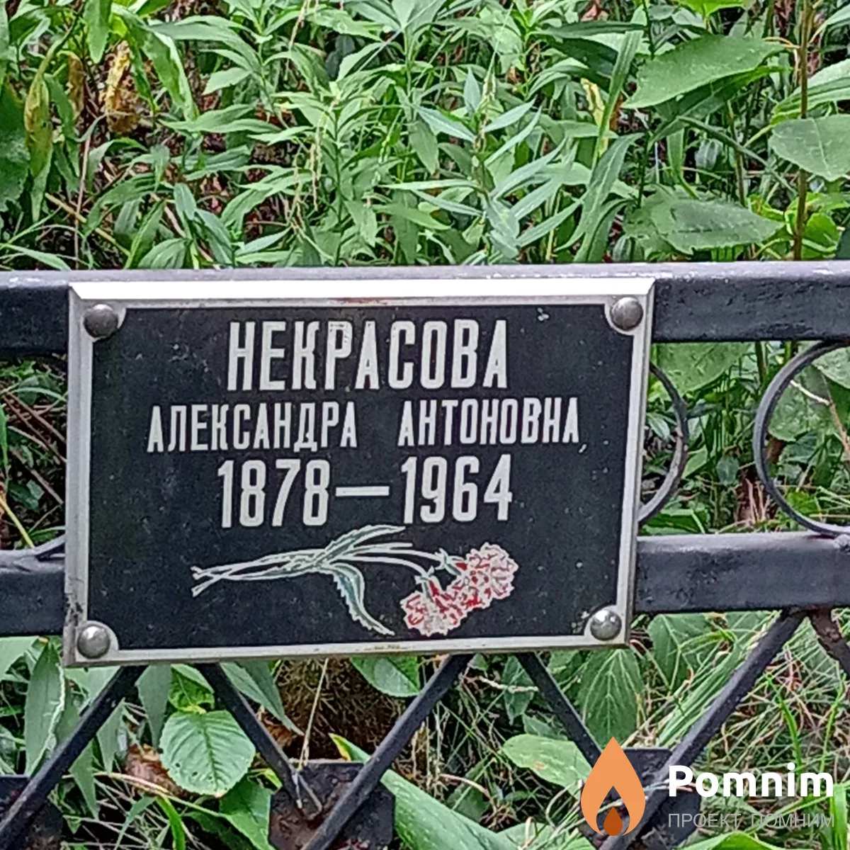 Некрасова Александра Антоновна
