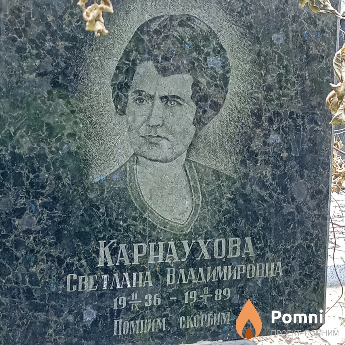Карнаухова Светлана Владимировна