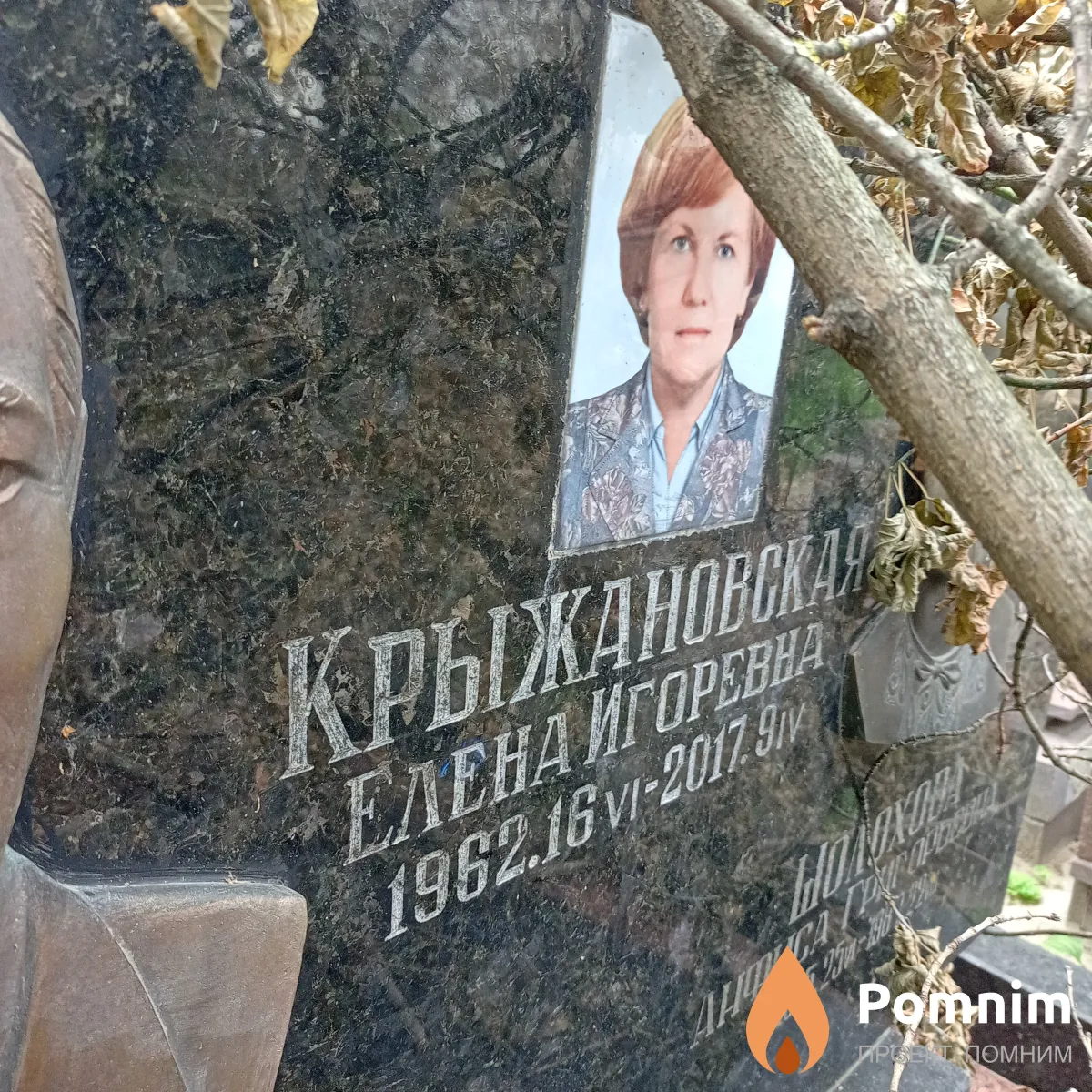 Крыжановская Елена Игоревна