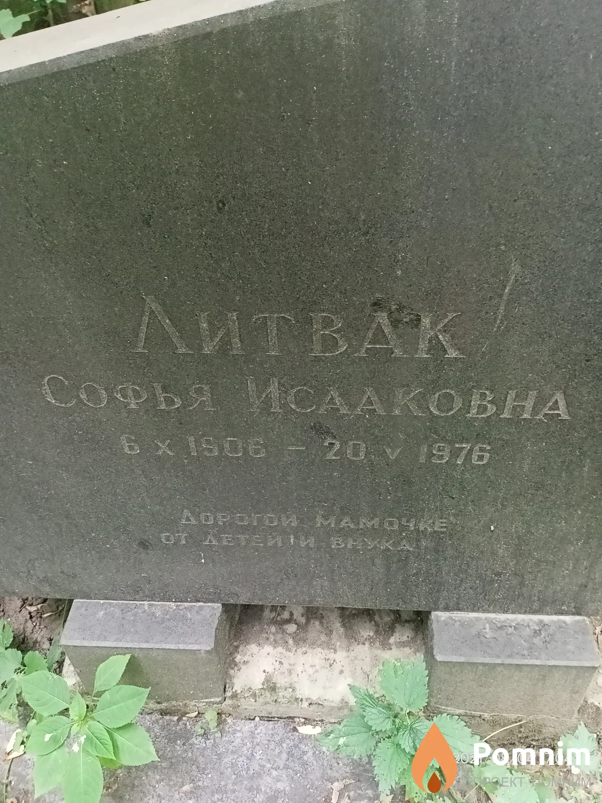 Литвак Софья Исааковна
