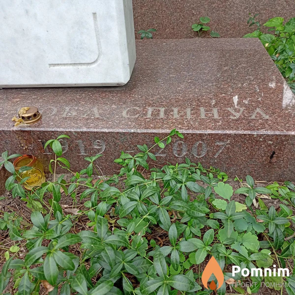 Спинул Любовь