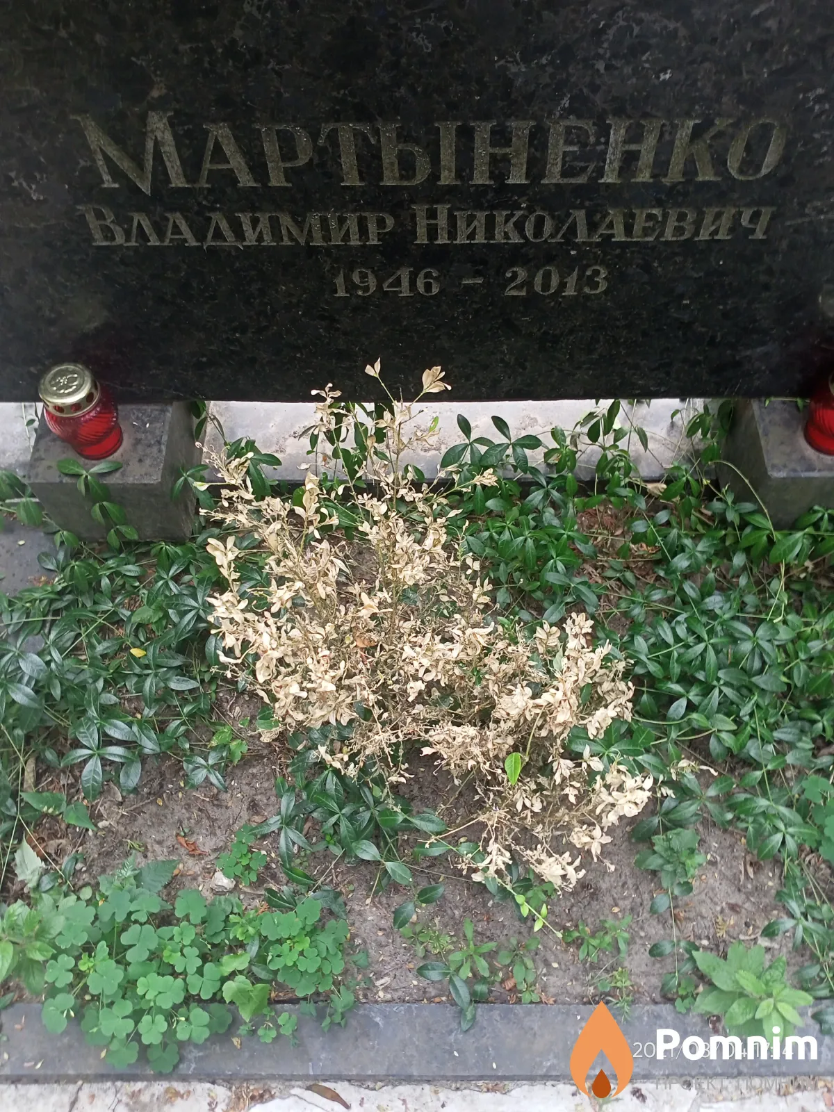 Мартыненко Владимир Николаевич