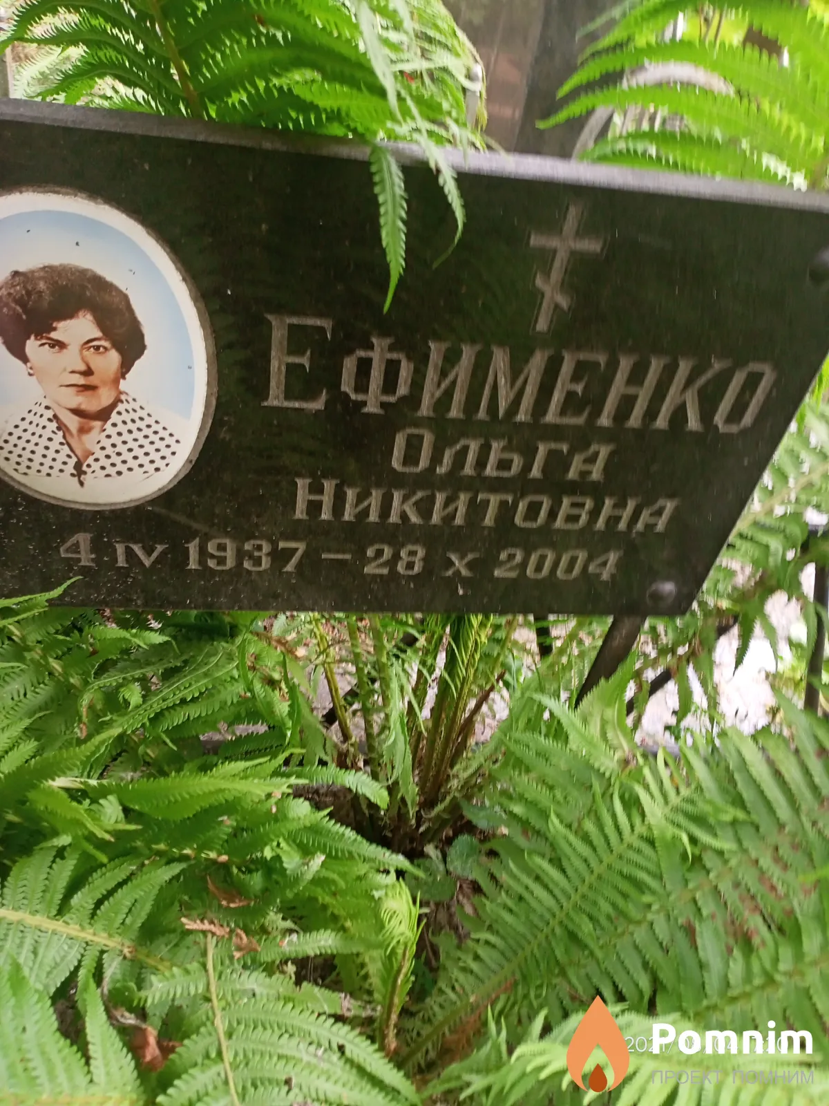 Ефименко Ольга Никитовна