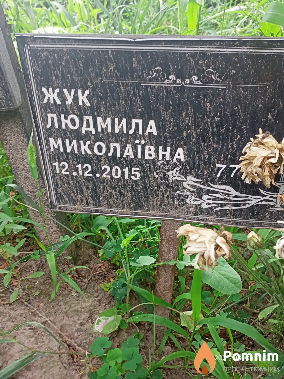 Жук Людмила Николаевна