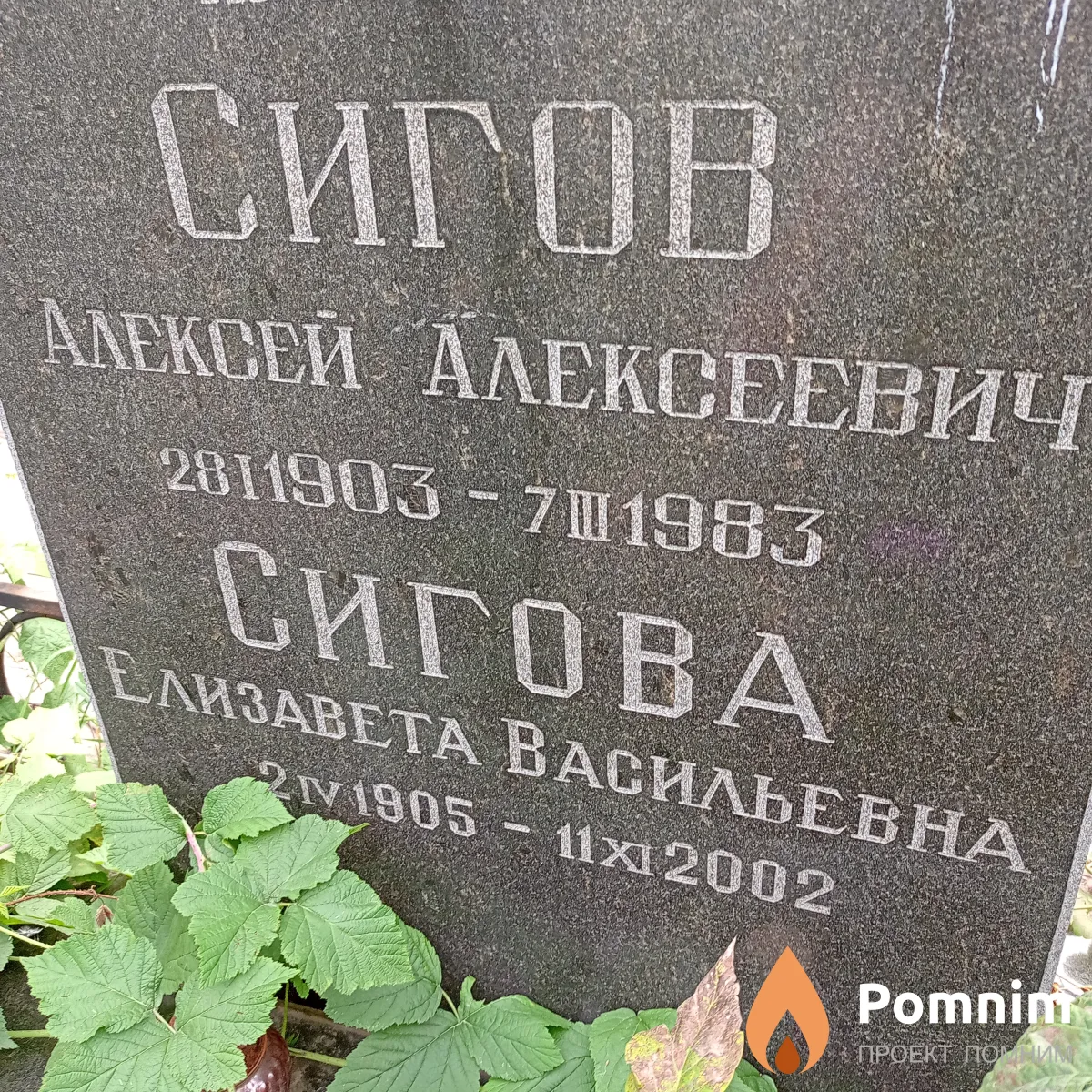 Сигов Алексей Алексеевич