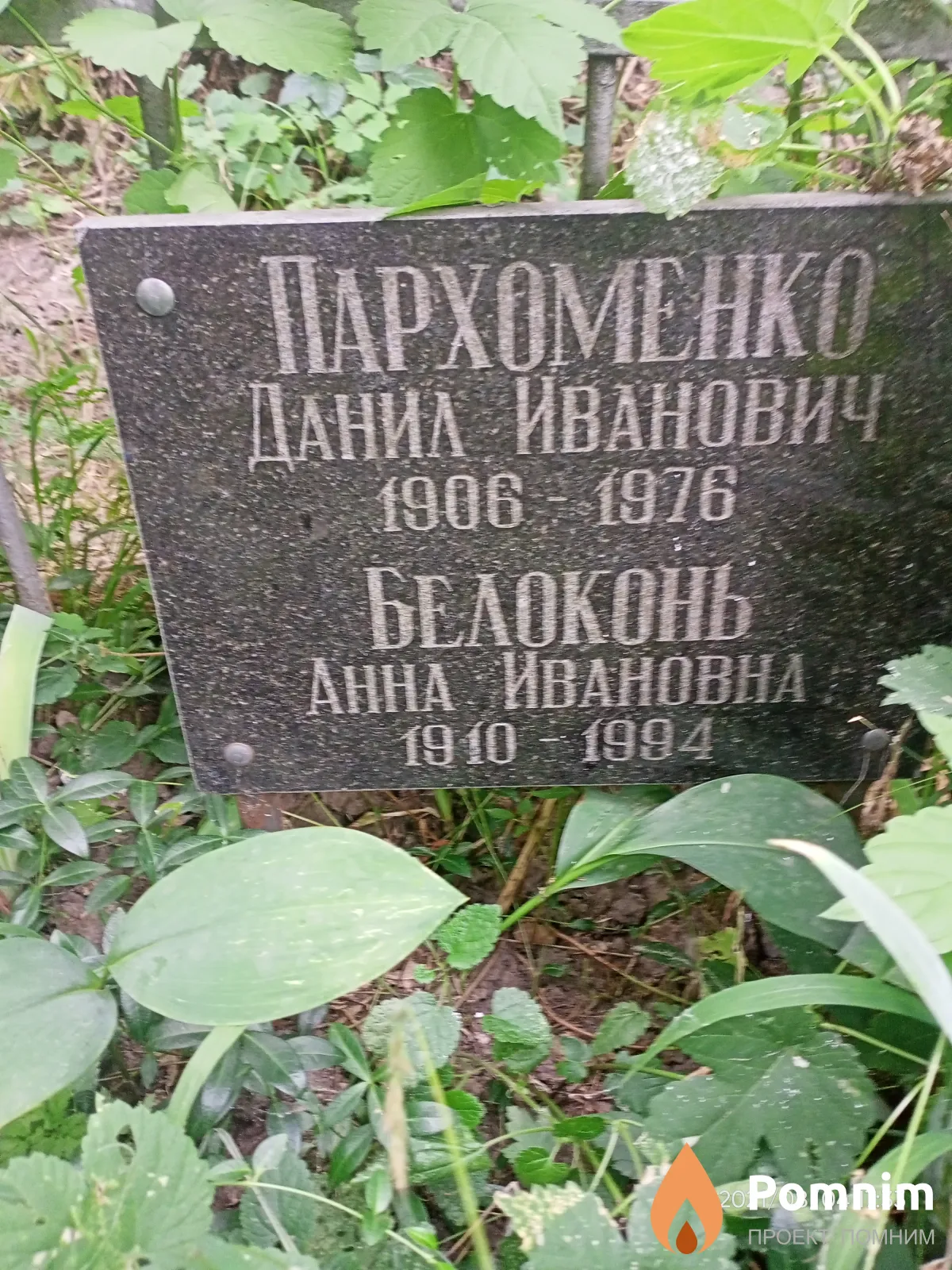 Пархоменко Данил Иванович