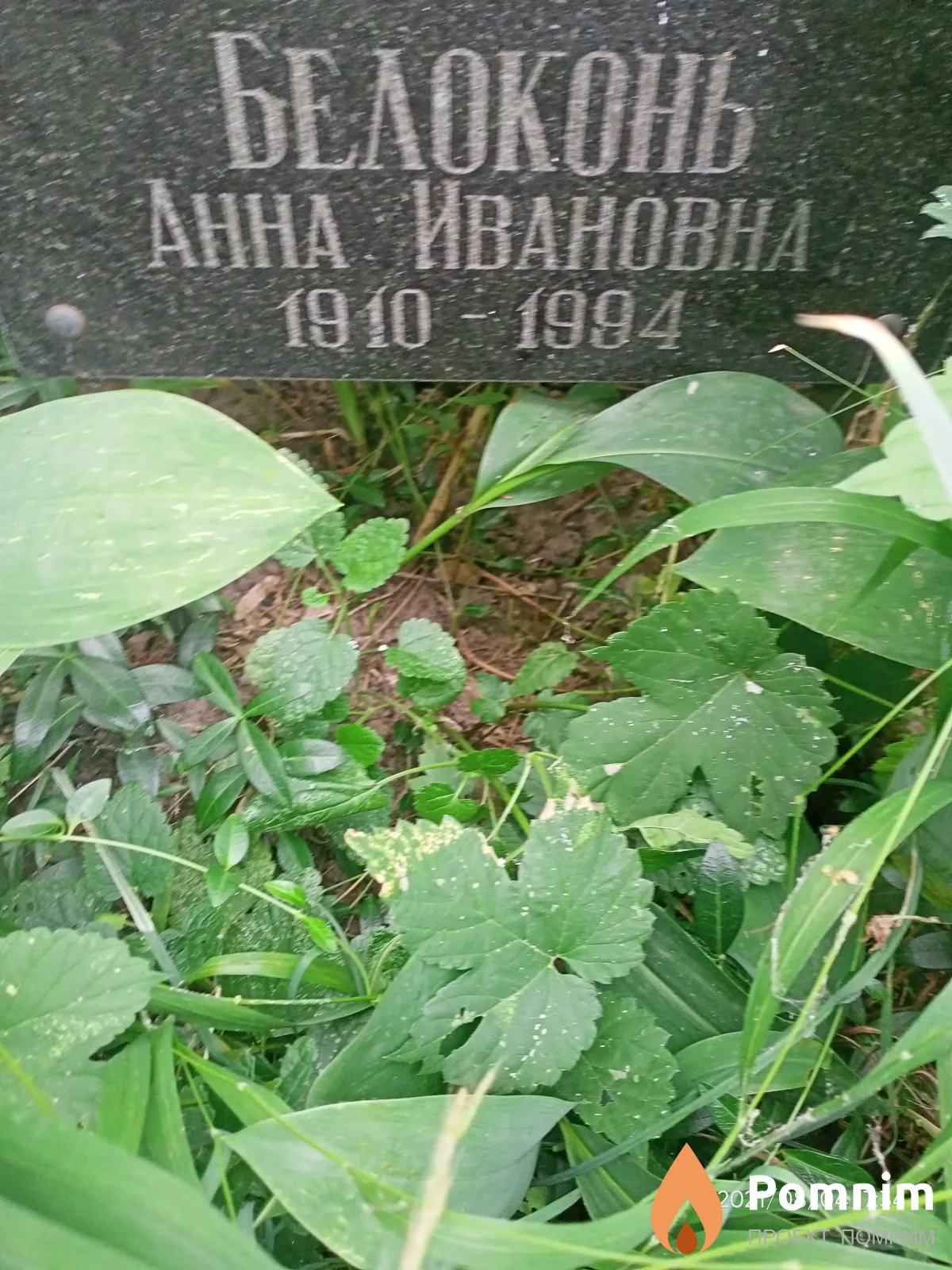 Блоконь Анна Ивановна