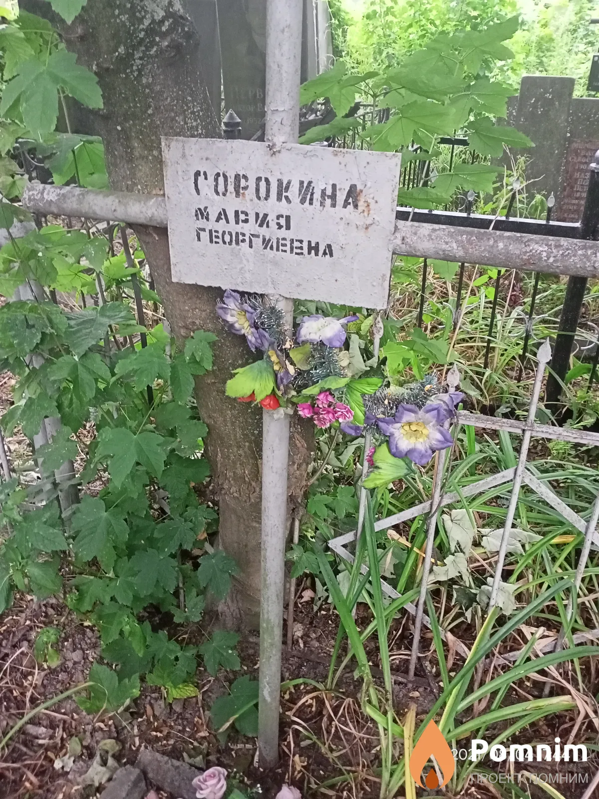Сорокина Мария Георгиевна