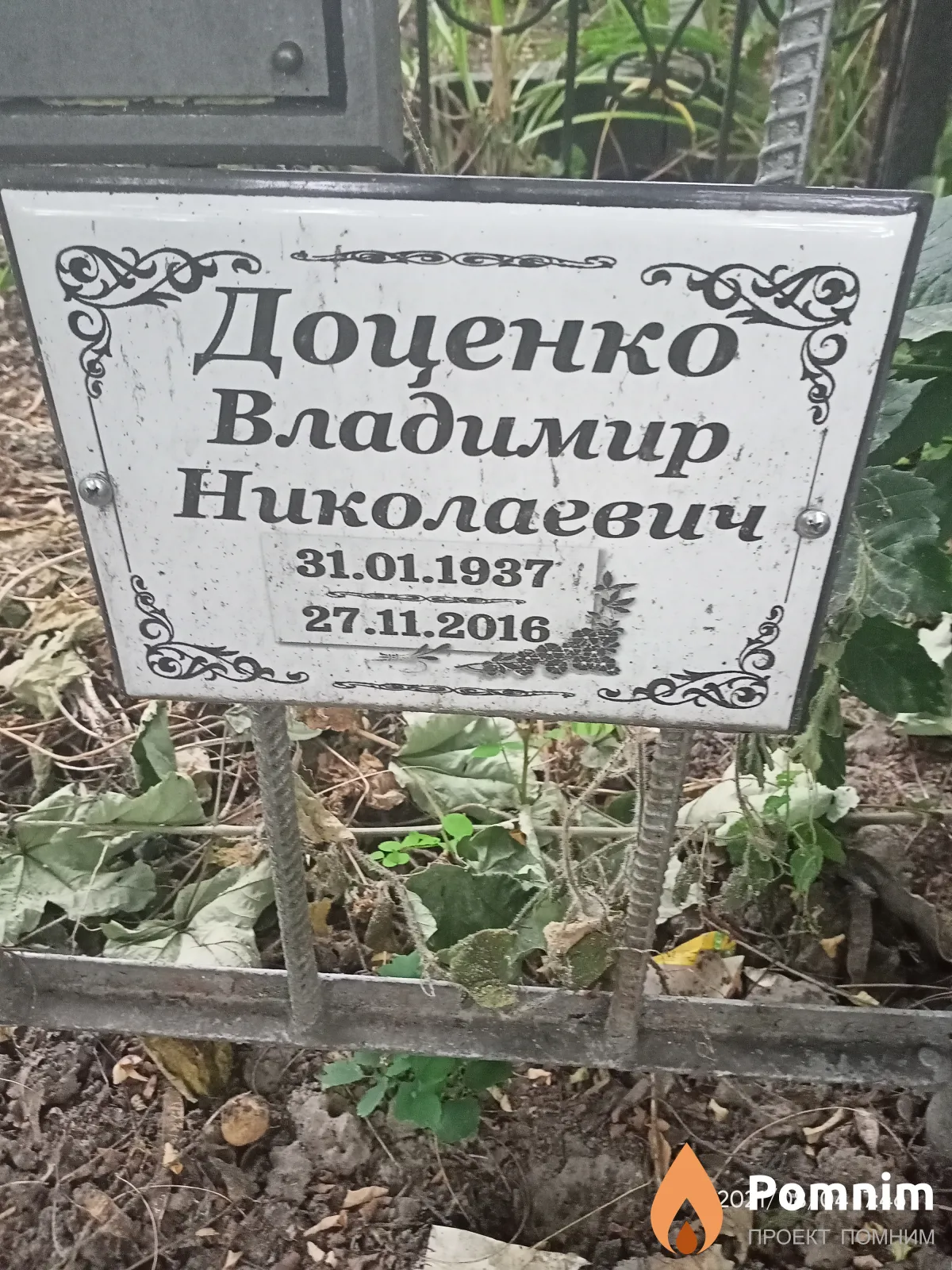 Доценко Владимир Николаевич