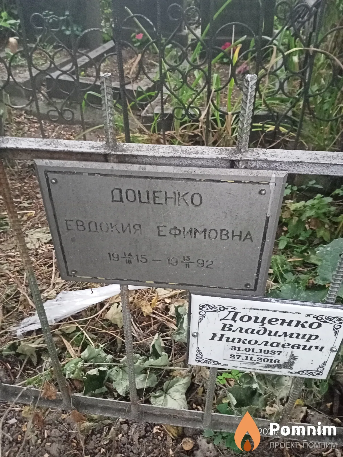 Доценко Евдокия Филипповна