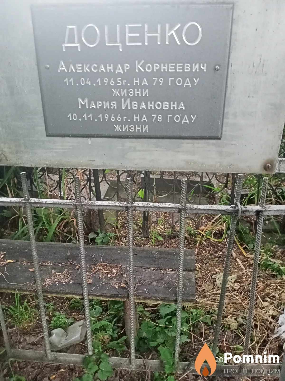 Доценко Александр Корнеевич