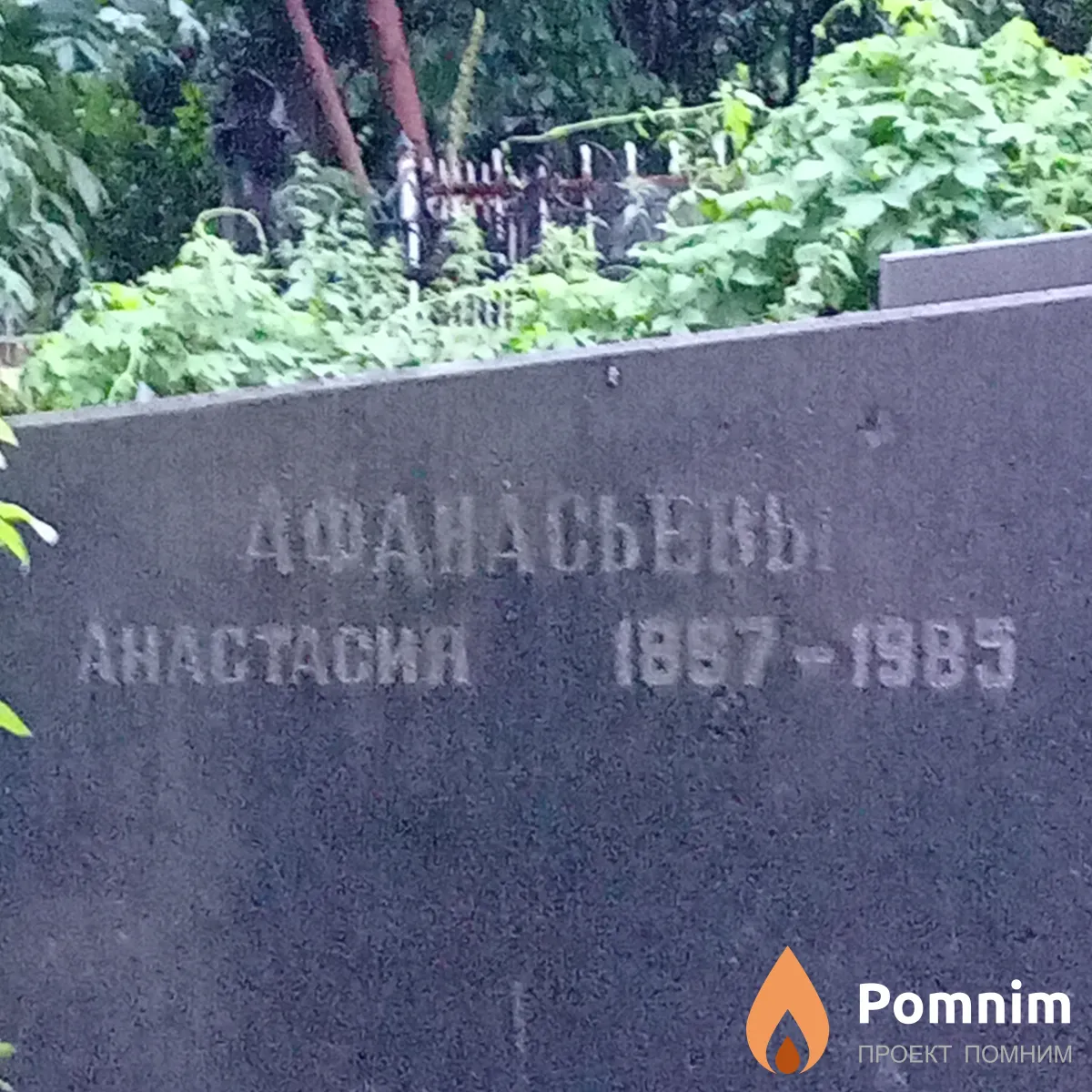 Афанасьева Анастасия