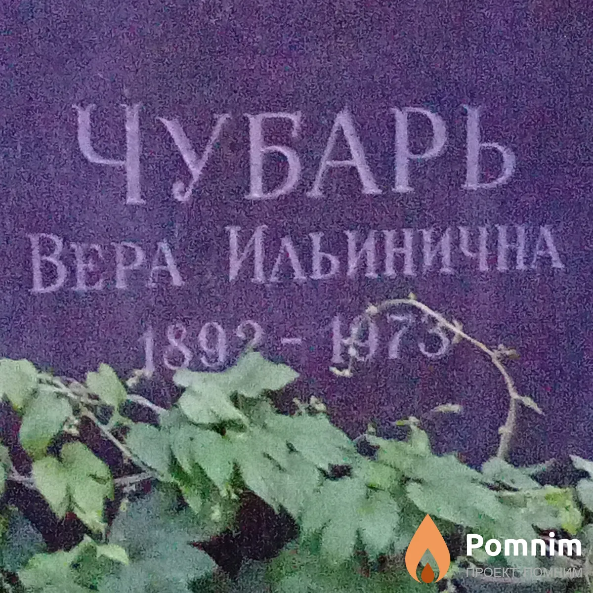 Чубарь Вера Ильинична
