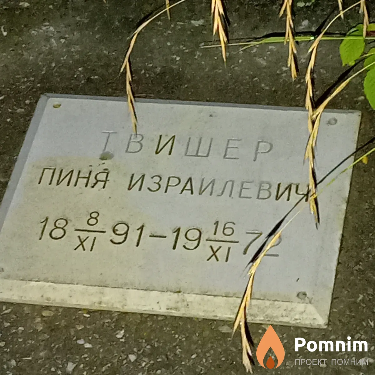 Твишер Пиня Израилевич