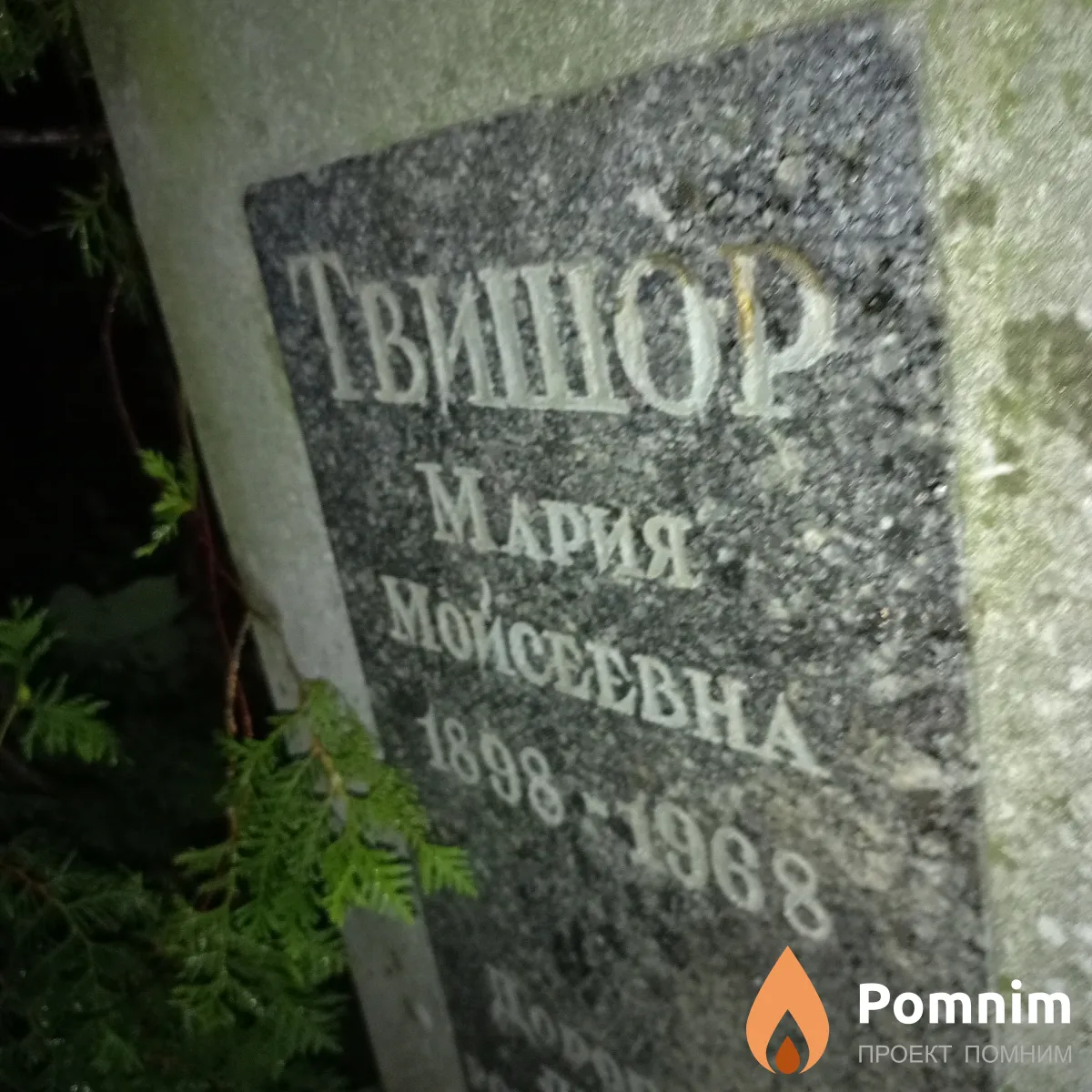Твишер Мария Моисеевна