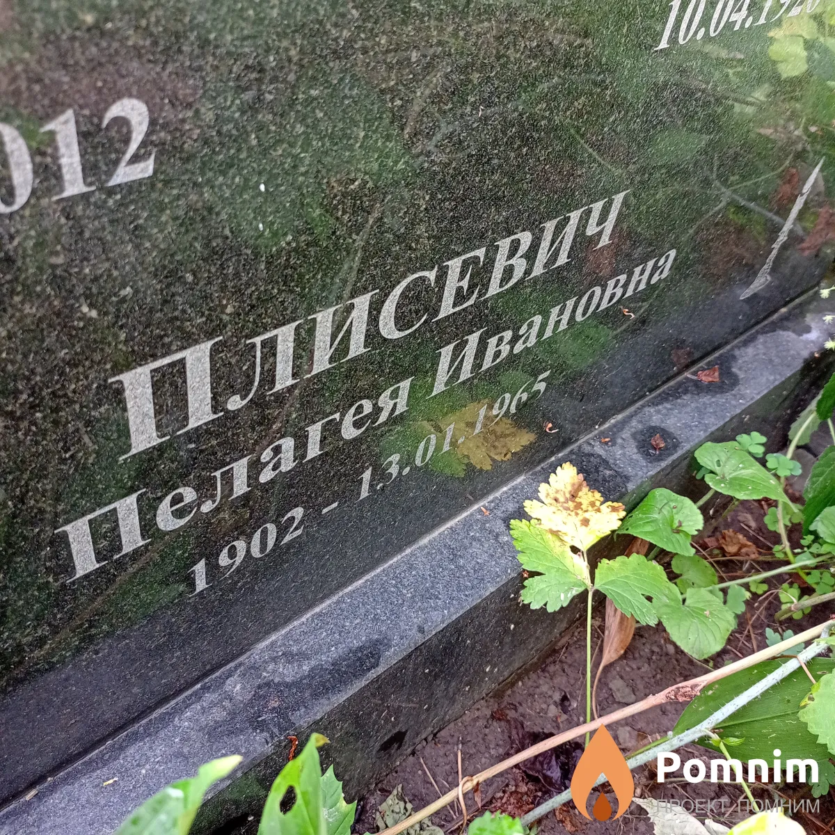 Плисевич Пелагея Иванова