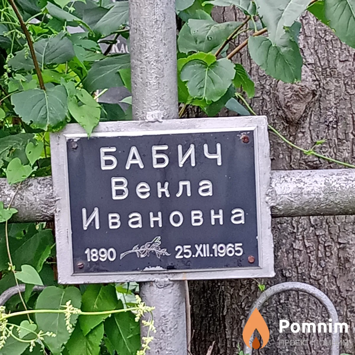 Бабич Векла Ивановна