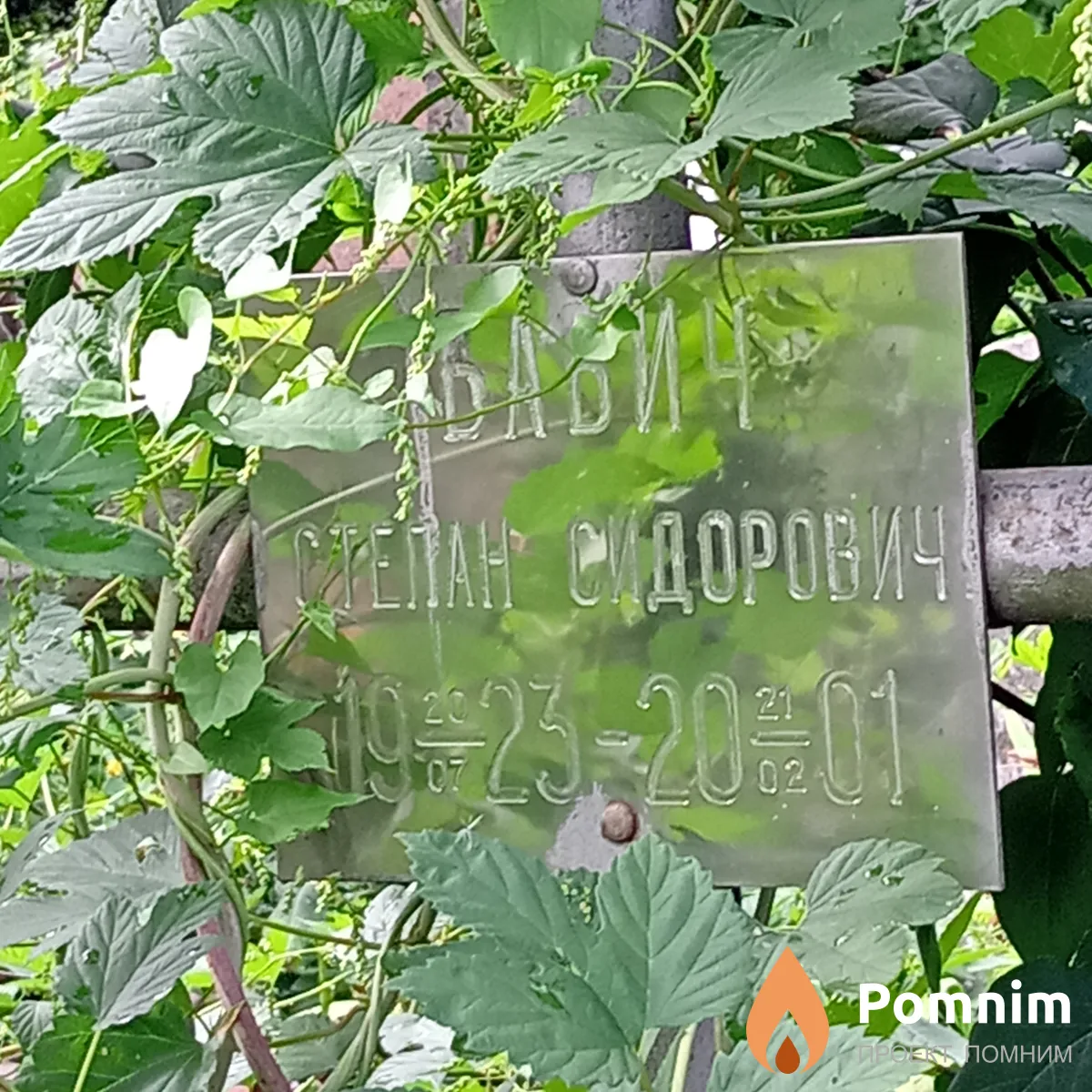Бабич Степан Сидорович