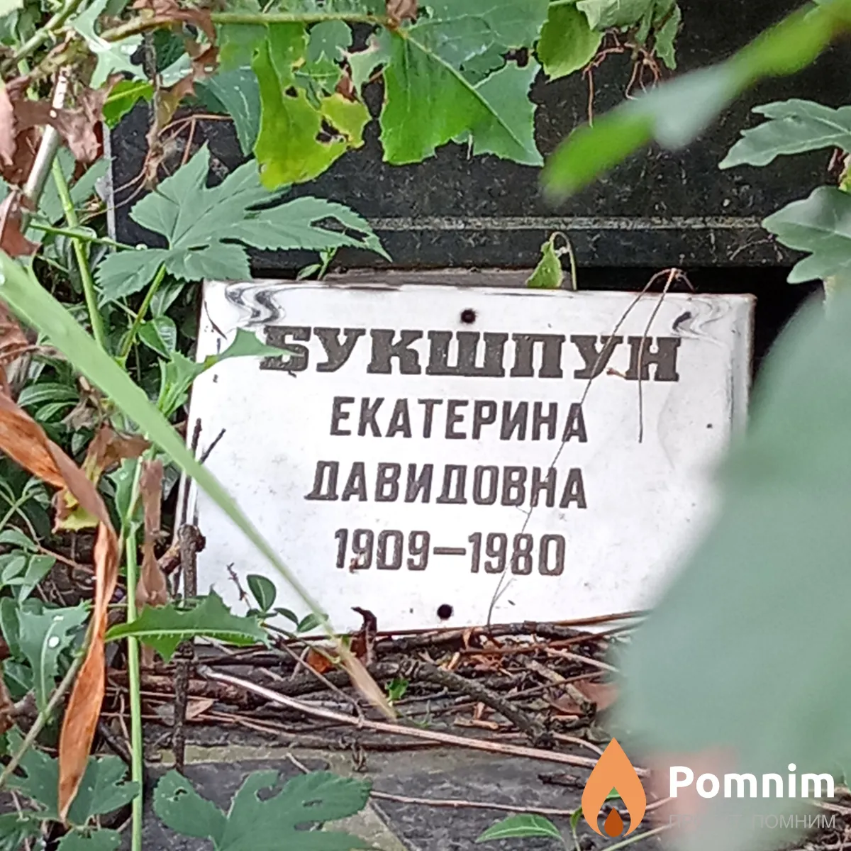 Букшпун Екатерина Давидовна