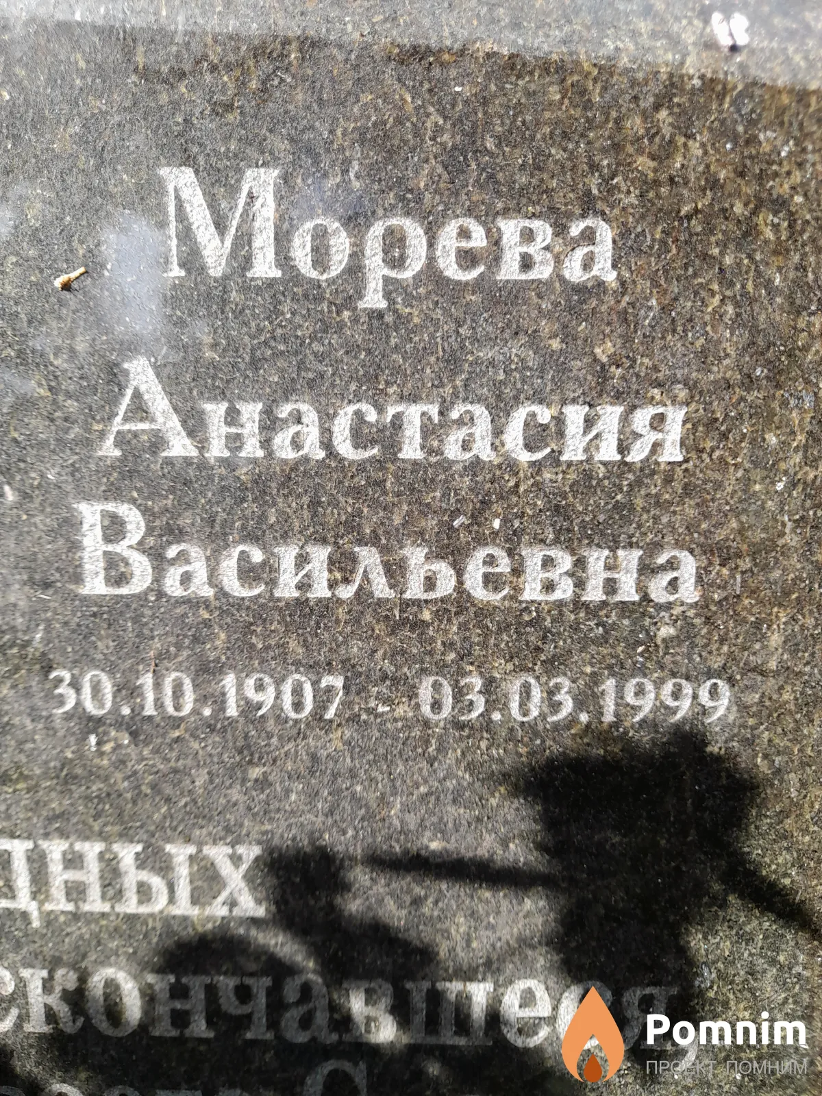 Морева Анастасия Васильевна