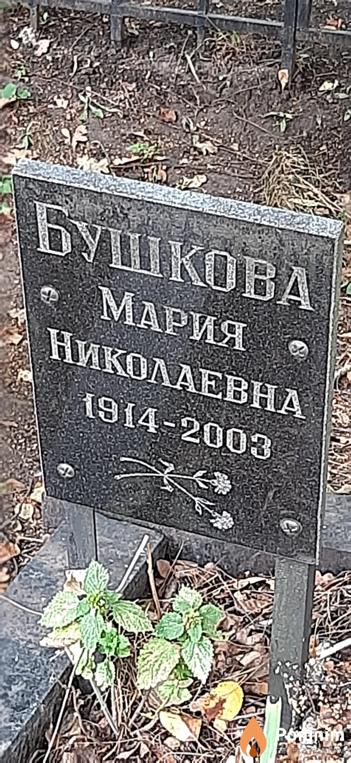 Бушкова Мария Николаевна