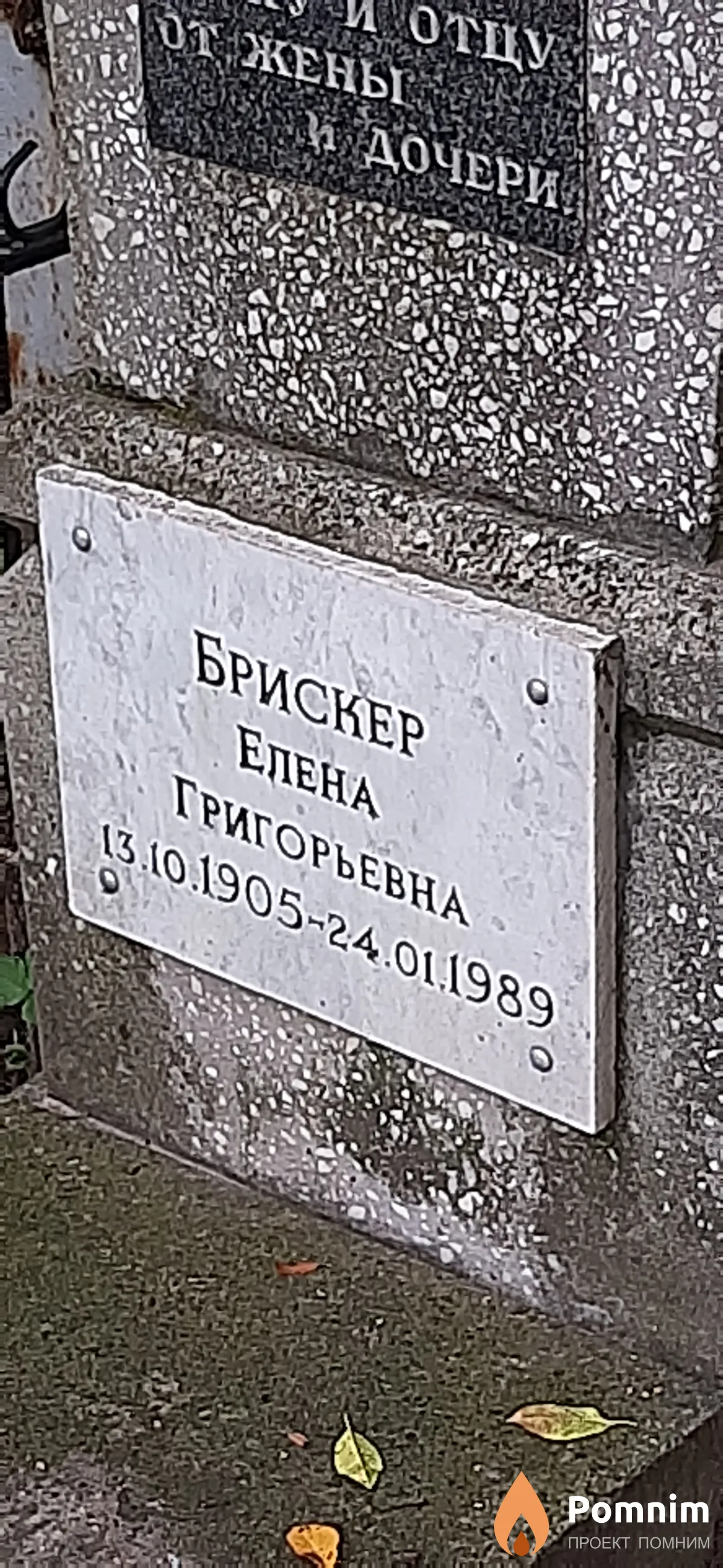 Брискер Елена Григорьевна