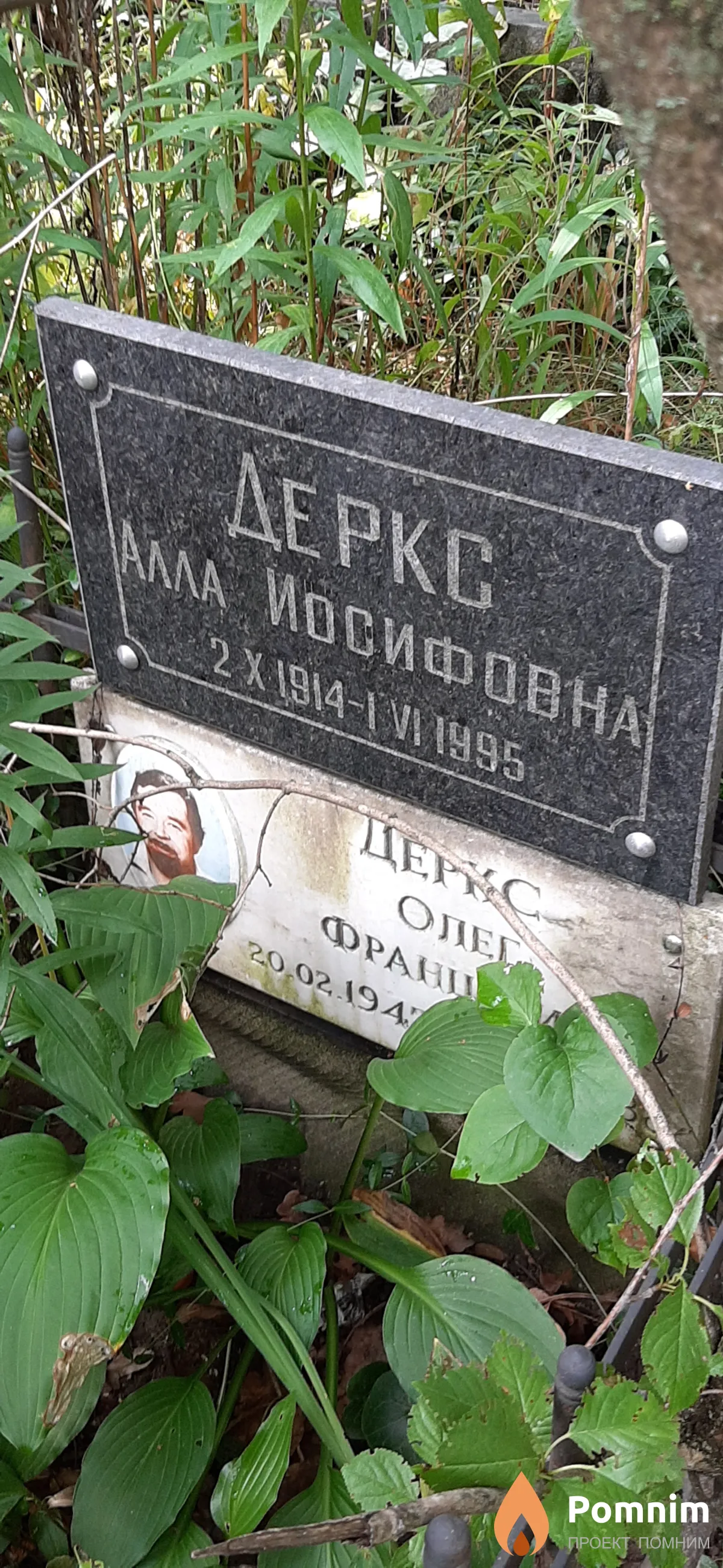 Деркс Алла Иосифовна