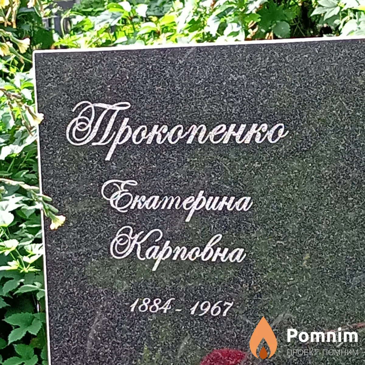 Прокопенко Екатерина Карповна