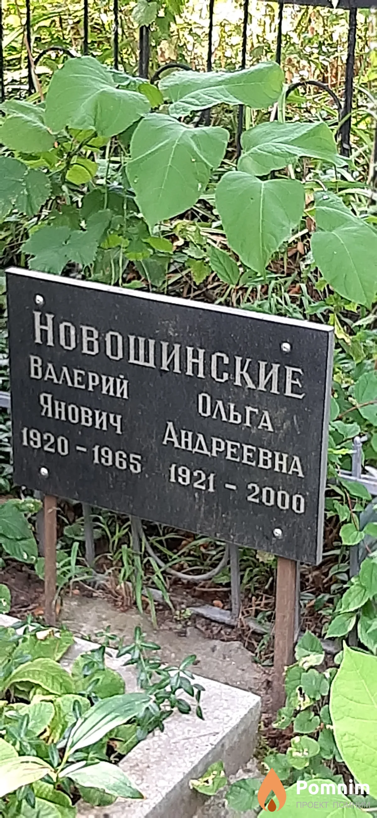 Новошиннский Валерий Янович