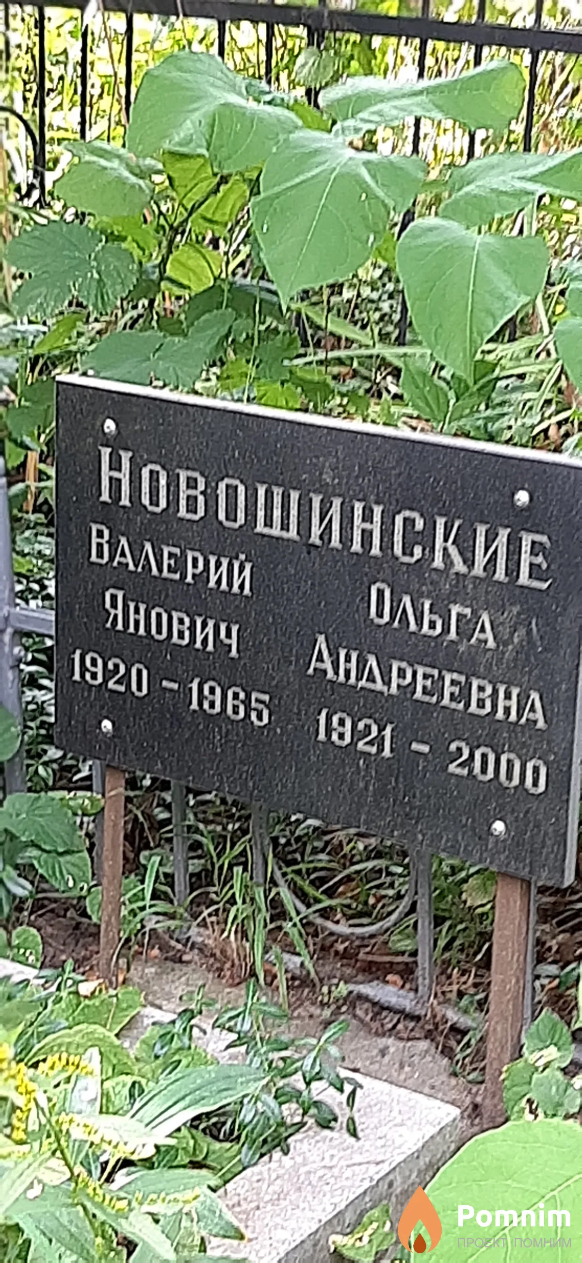 Новошиннская Ольга Андреевна