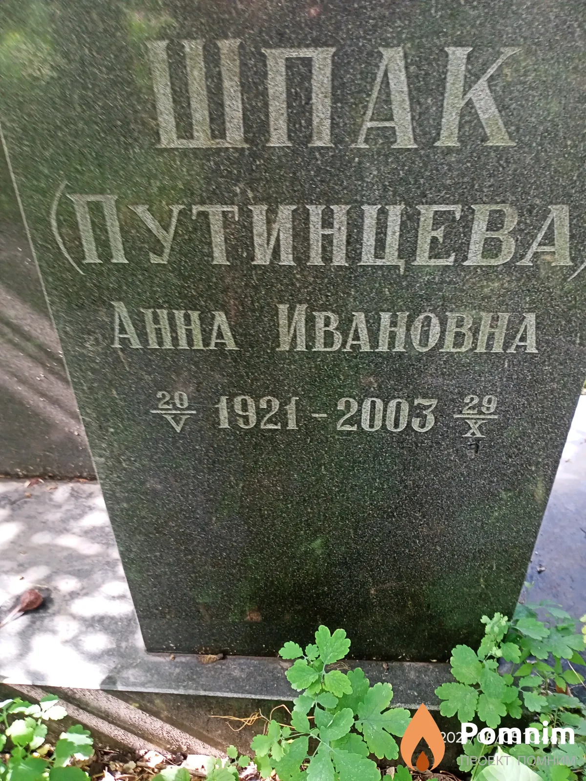 Шпак Анна Ивановна