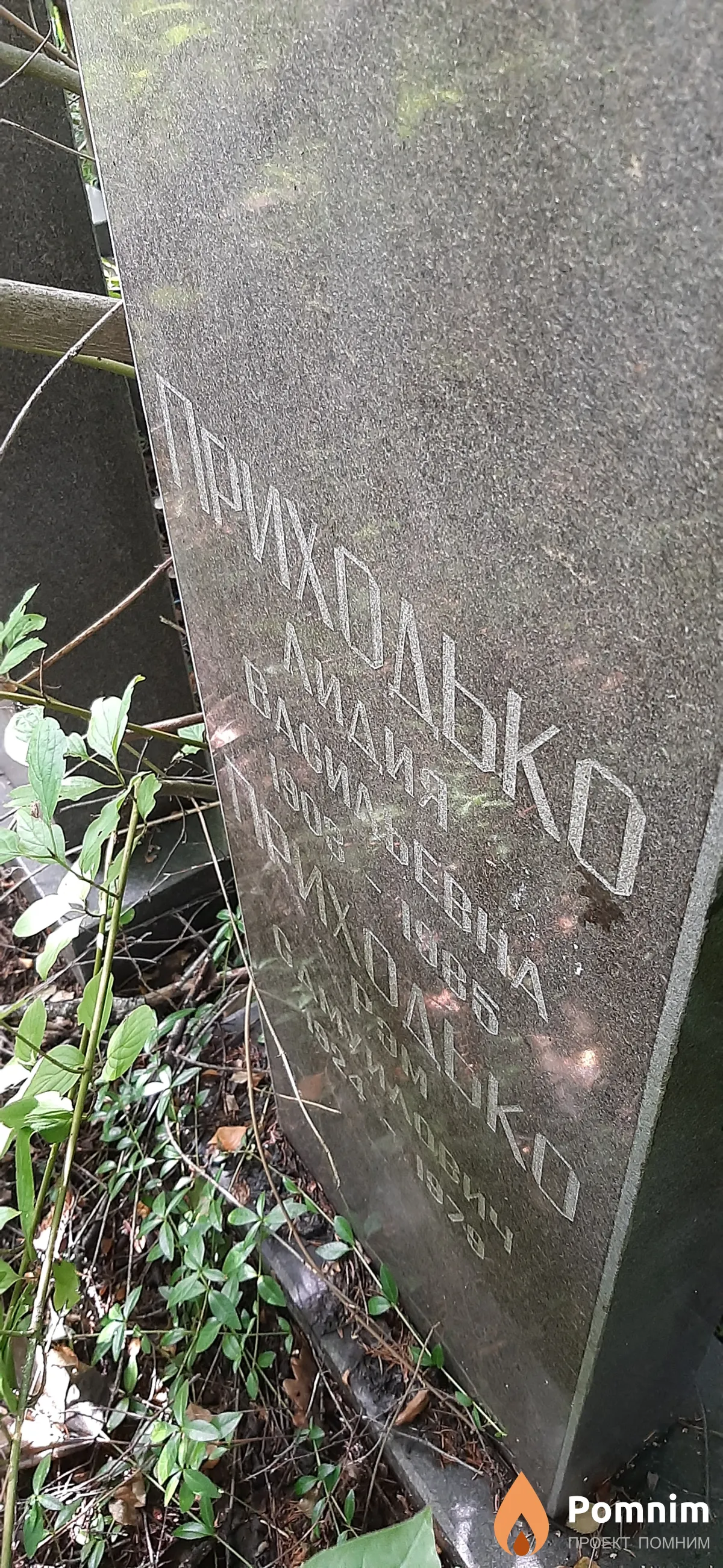 Прихолько Лидия Васильевна