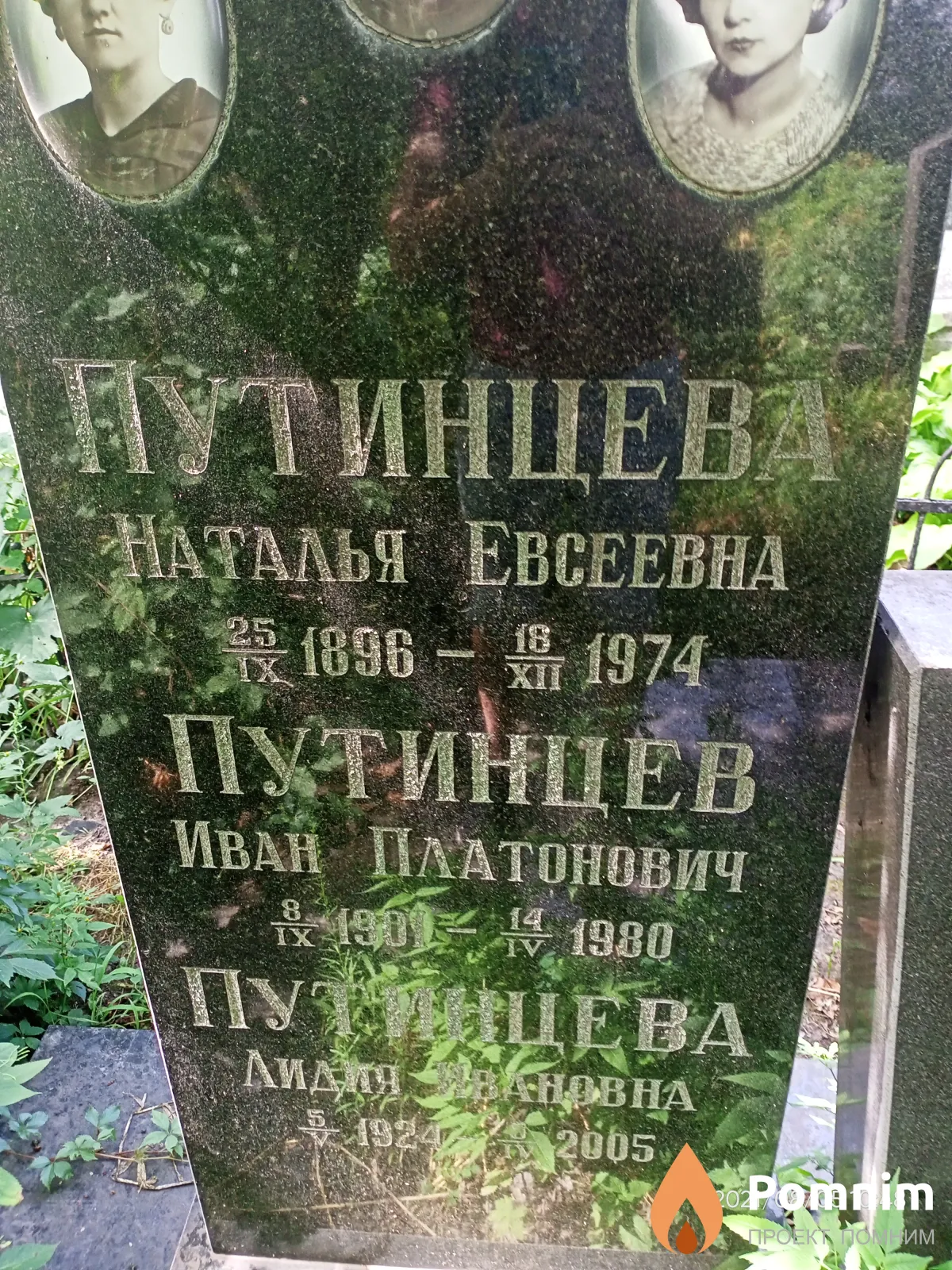 Путинцева Наталья Евсеевна
