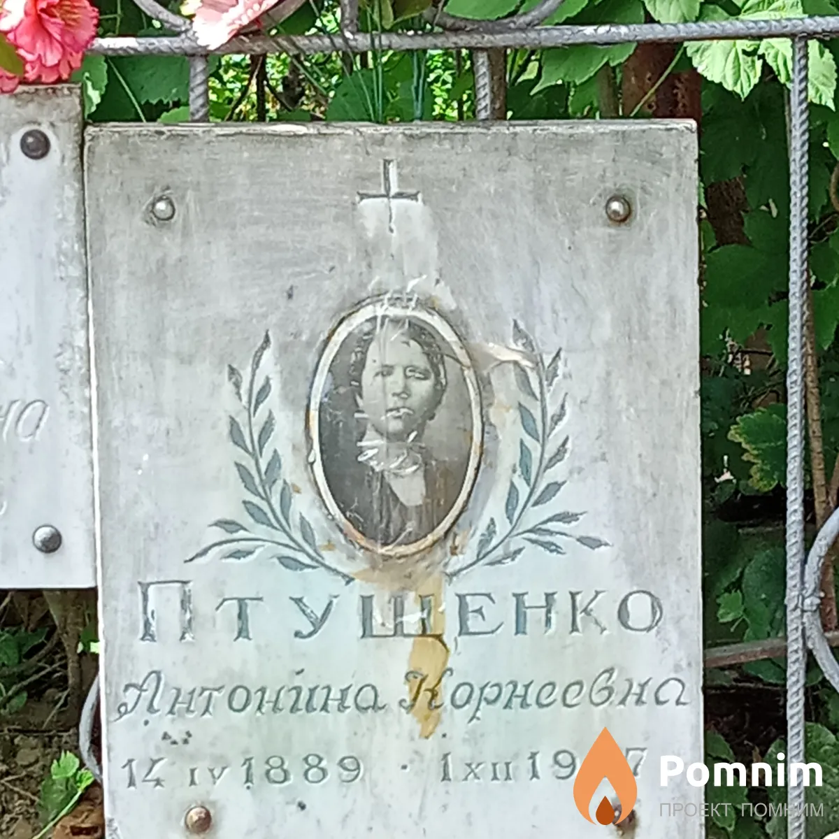 Птущенко Антонина Корнеевна