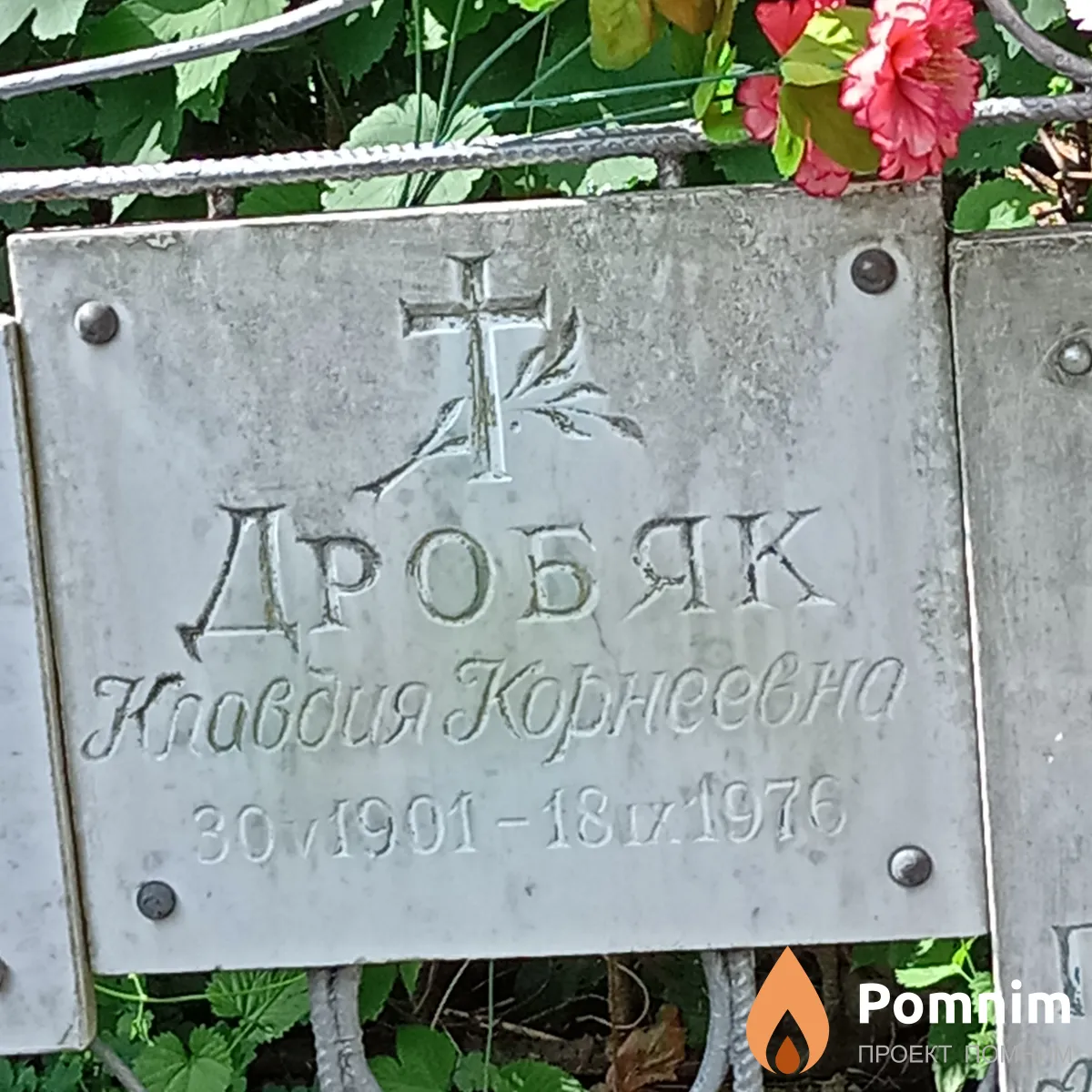 Дробяк Клаадия Корнеевна