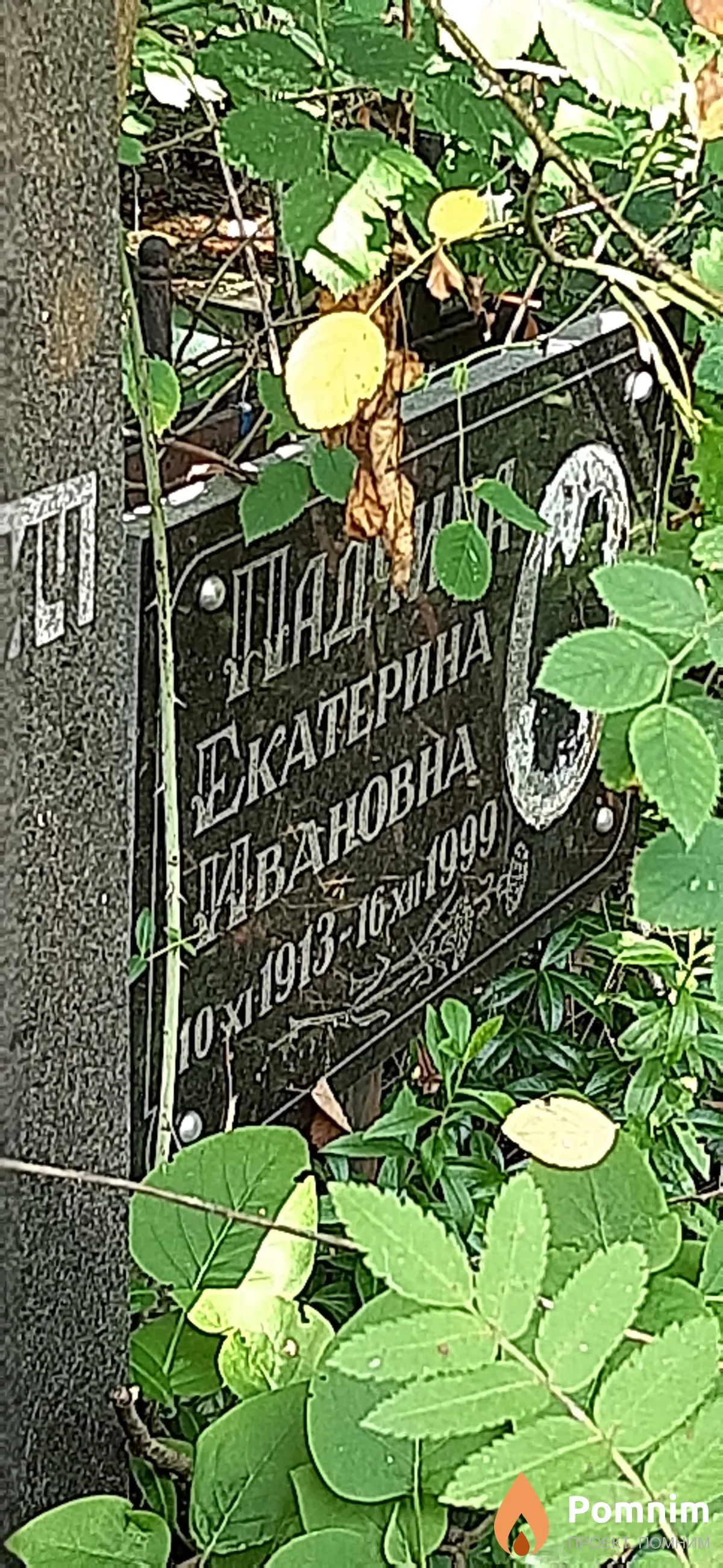 Падчина Екатерина Ивановна