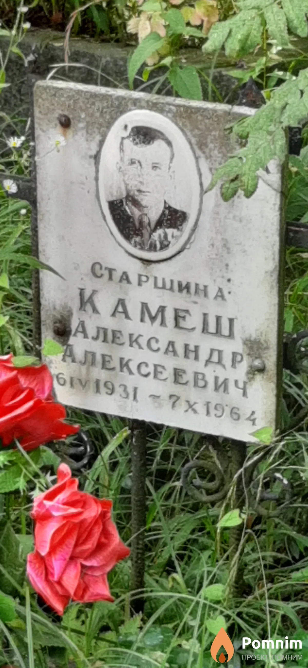 Камеш Александр Алексеевич