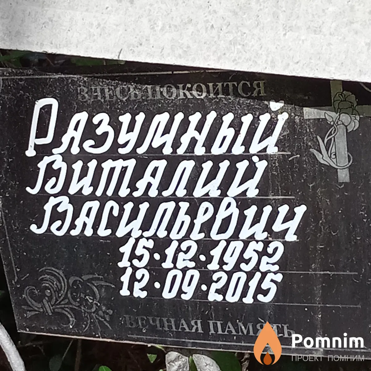 Разумный Виталий Васильевич