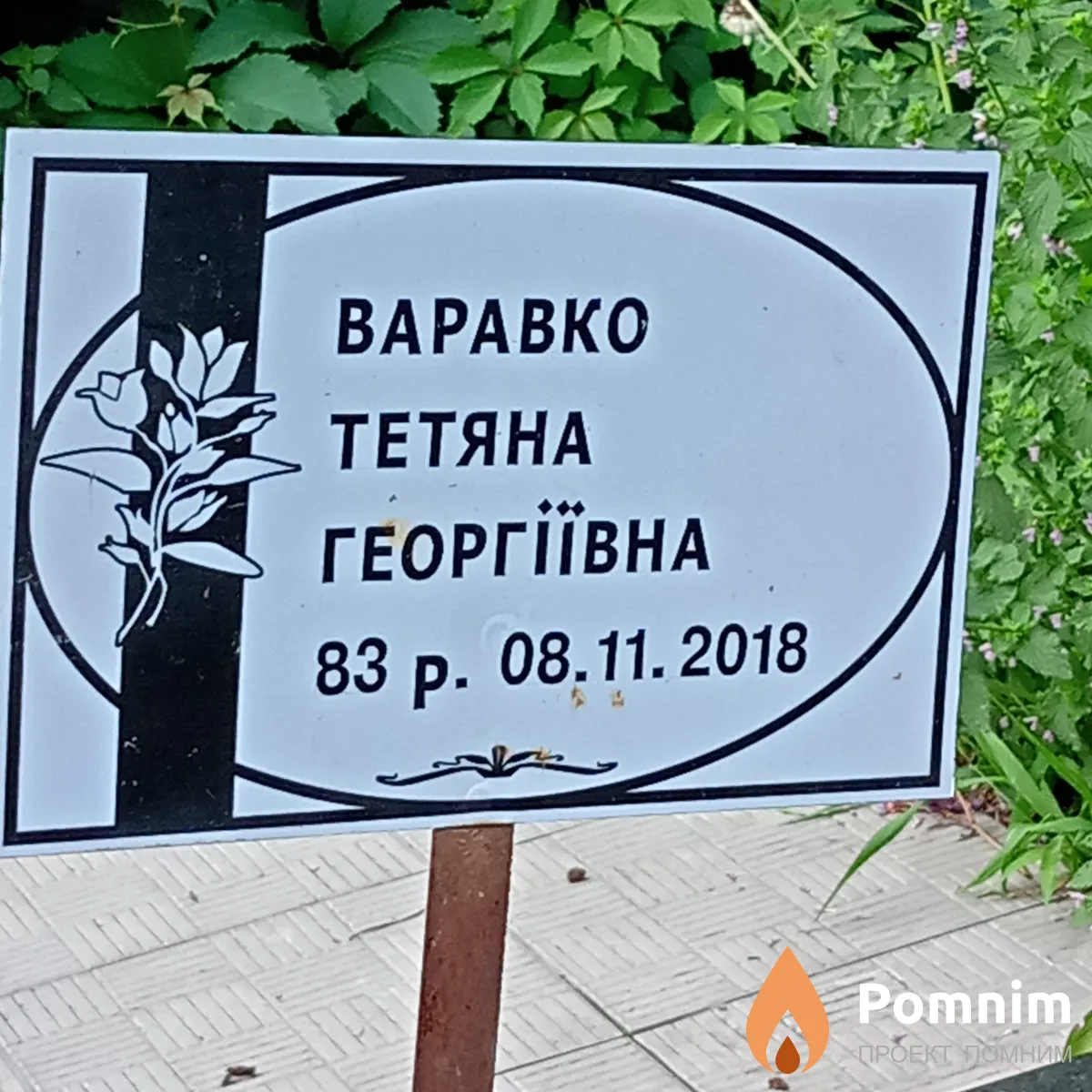 Варавко Татьяна Георгиевна