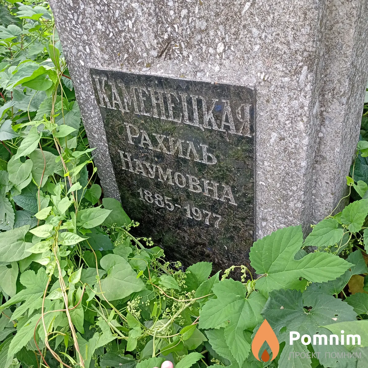 Каменцкая Рахиль Наумовна