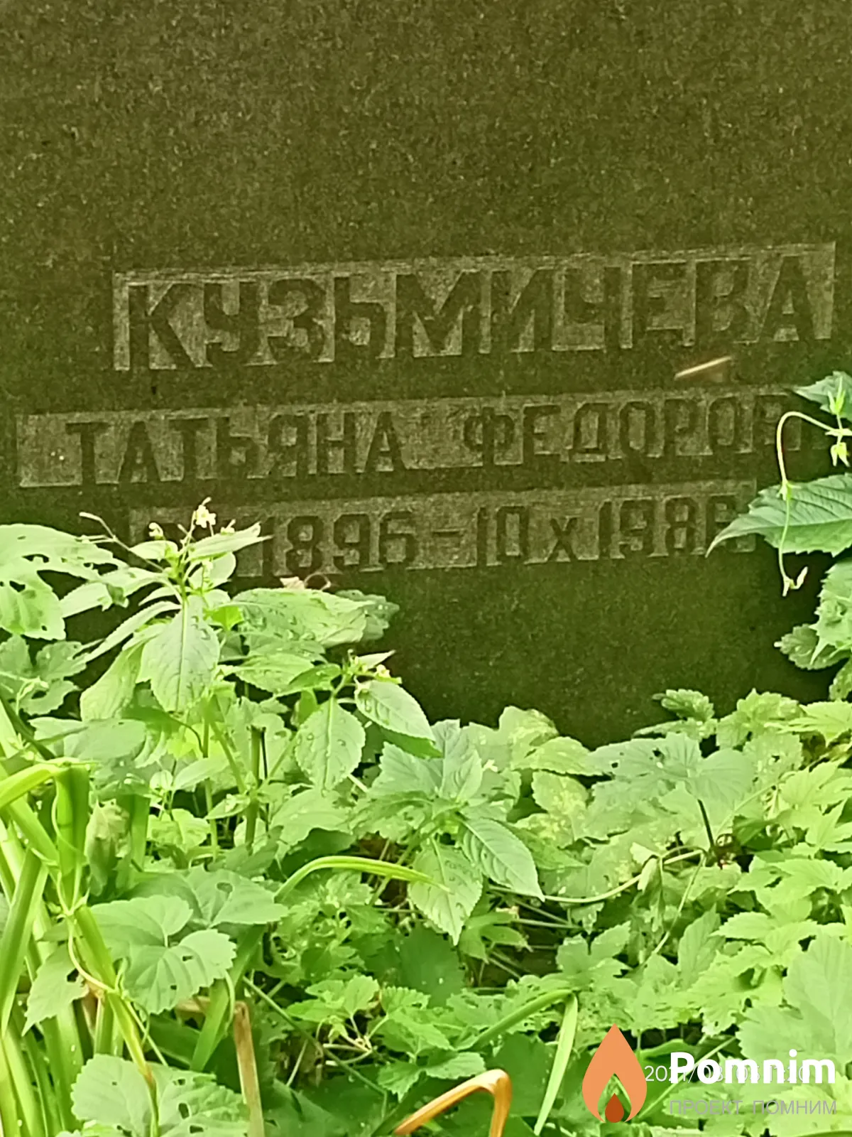 Кузьмичева Татьяна Федоровна