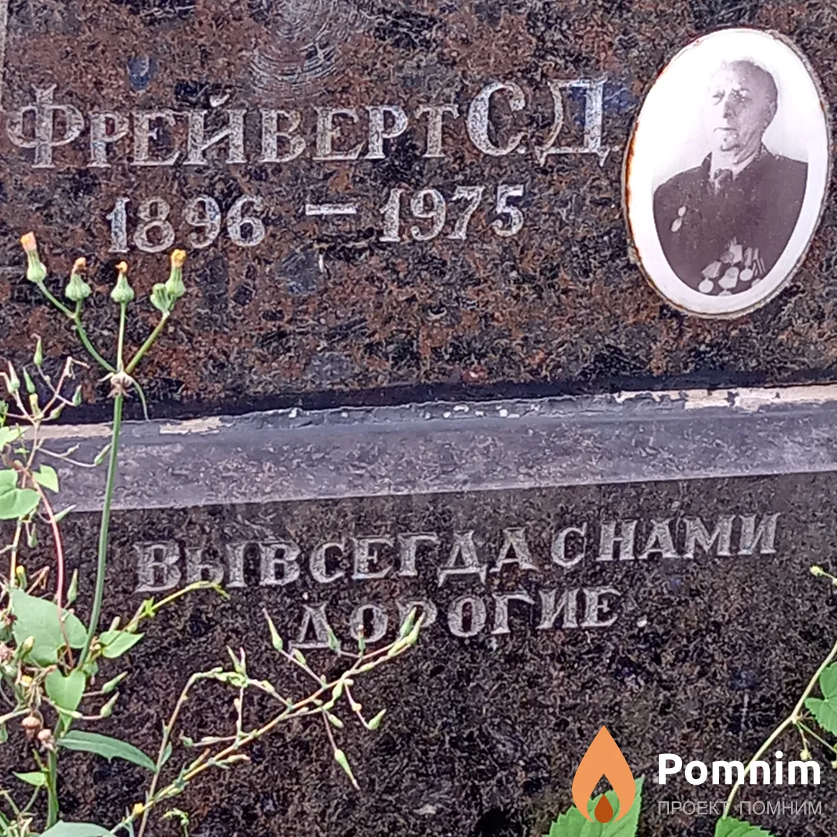 Фрейверт С Д