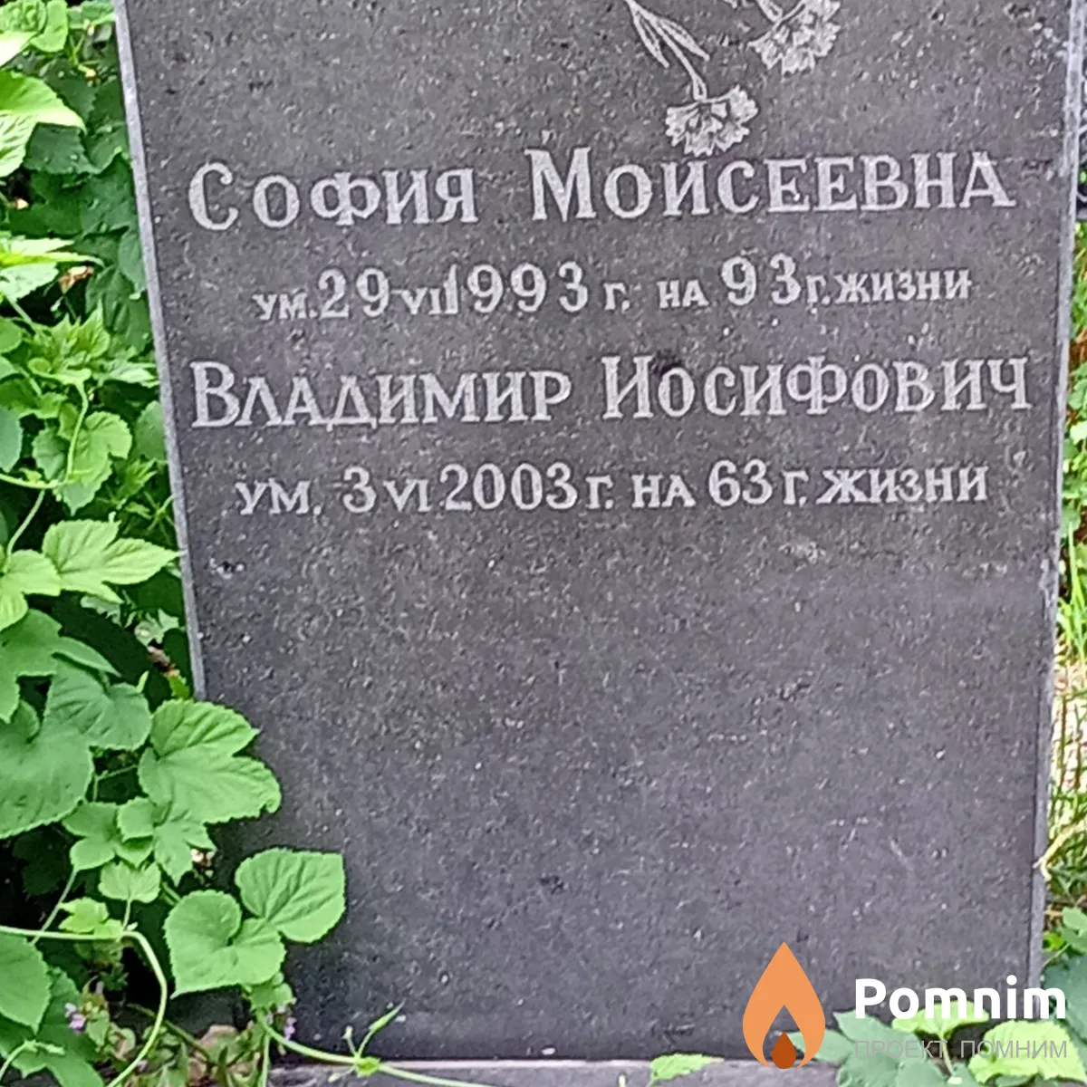 Гельфенбейм София Моисеевна