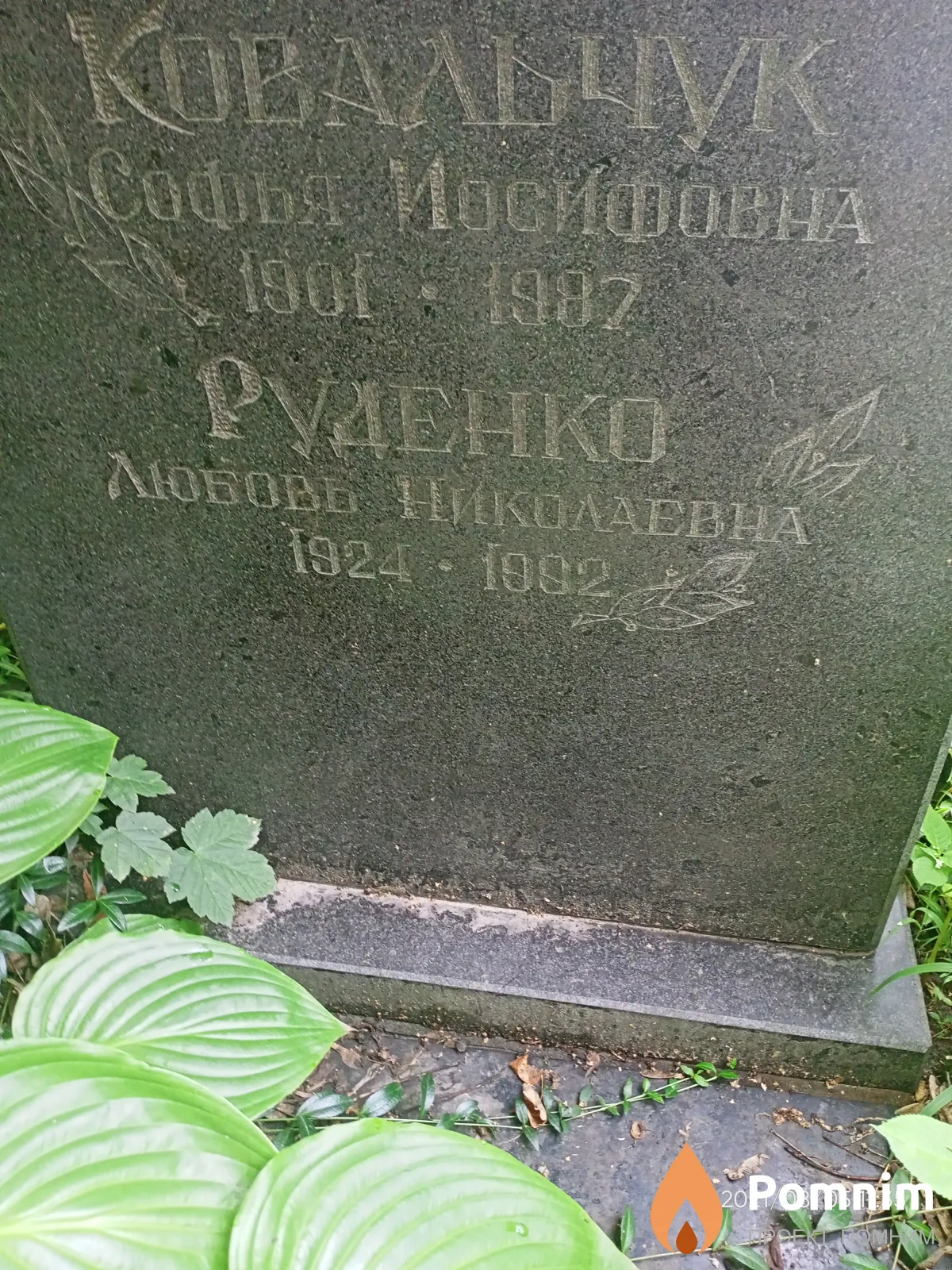Ковальчук Софья Иосифовна