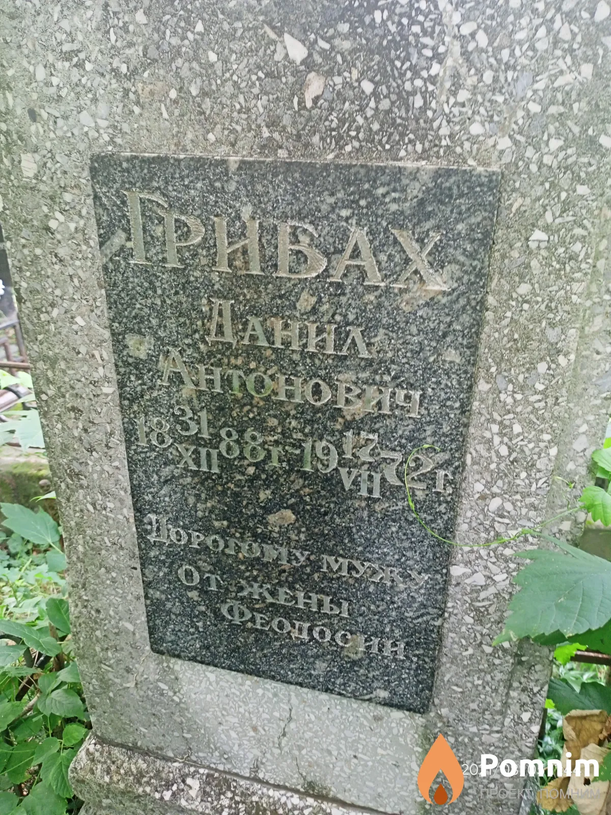 Грибах Данил Антонович