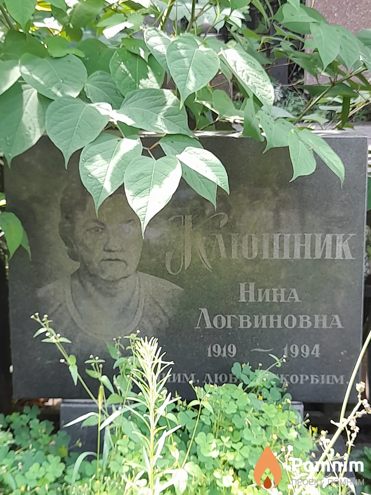 Клюшник Нина Логвиновна