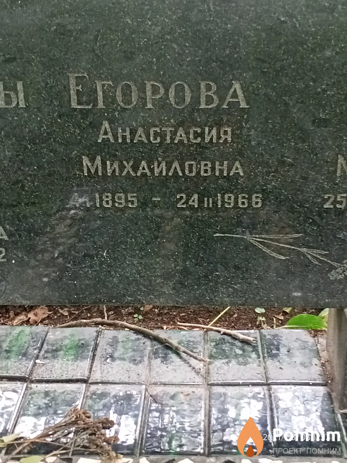 Егорова Анастасия Михайловна