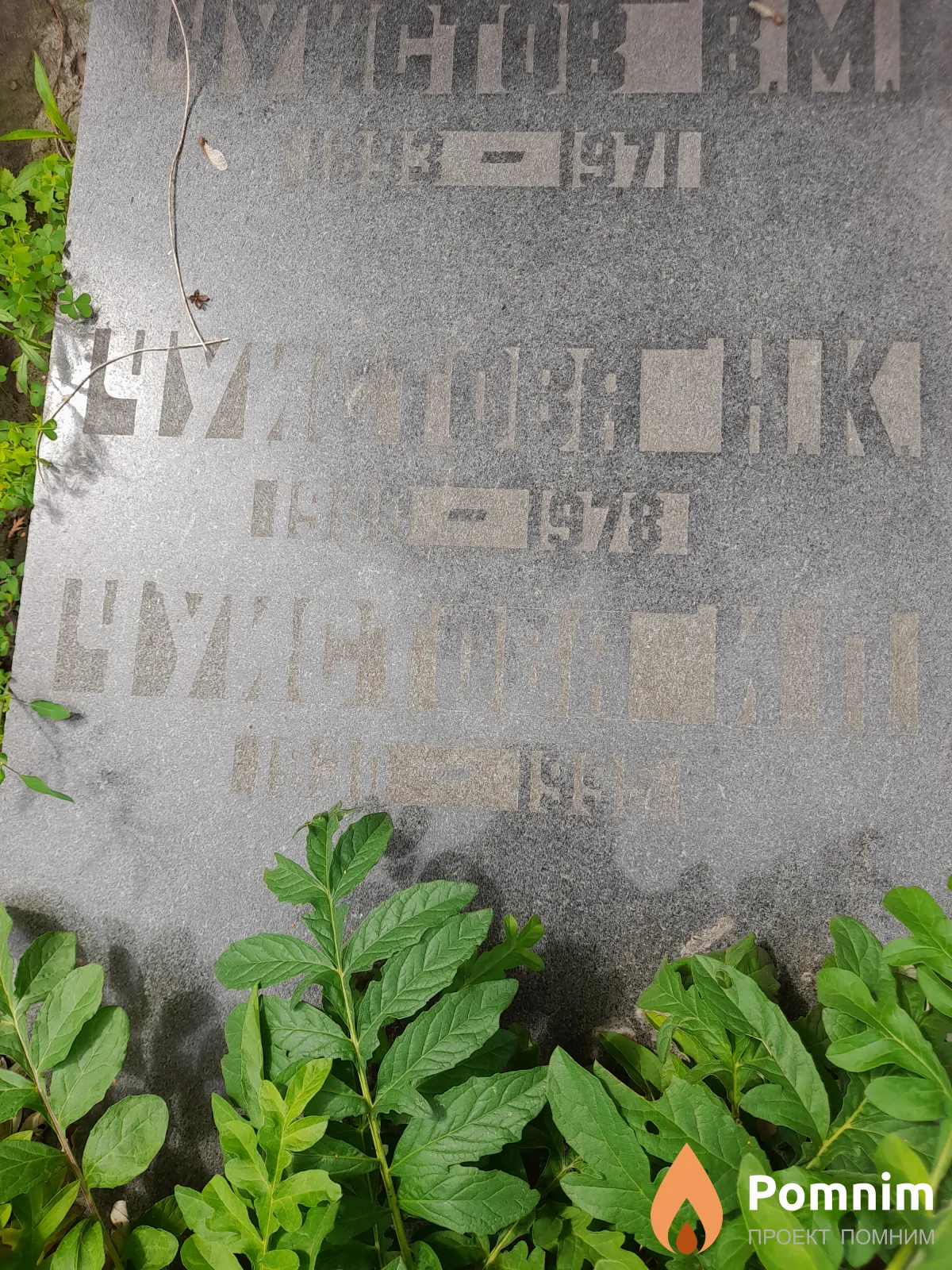 Чуистова И. П.