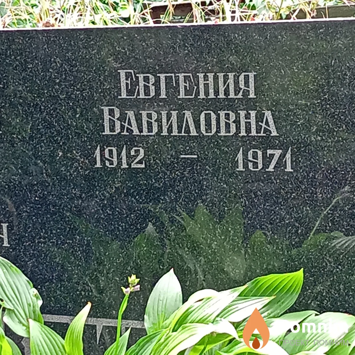 Кривицкая Евгения Вавиловна